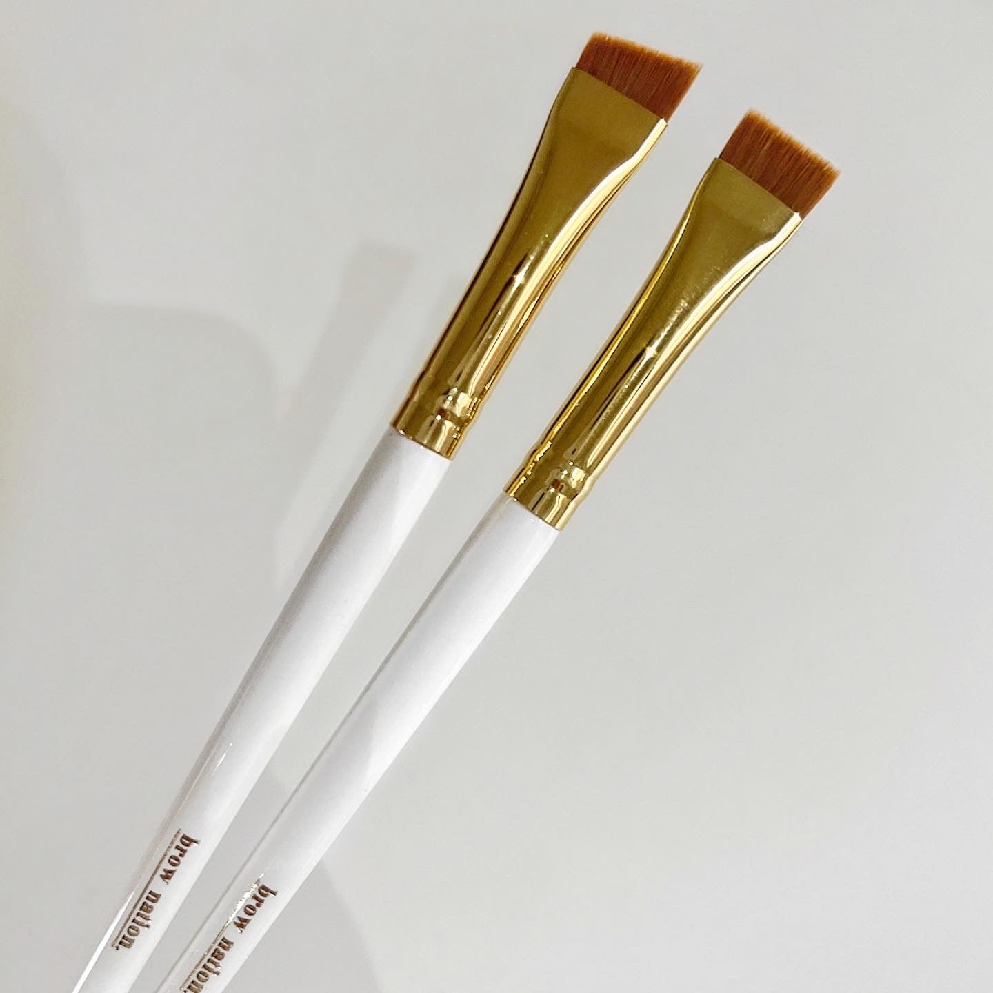 Precision Duo - Angled Brush Set